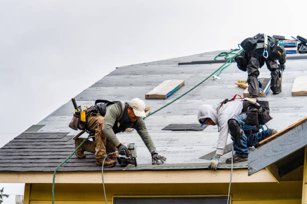 Professional Roof Inspection technician working in Sharpes, FL